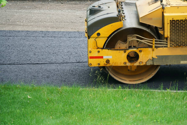 Professional Driveway Paving  in Iowa Colony, TX